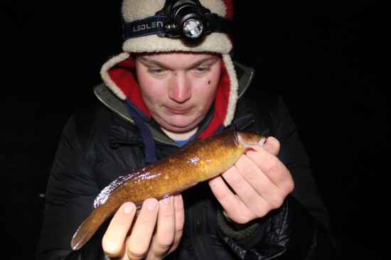 Vetle med ny art - femtrådet tangbrosme på 126g . Foto: Jonas Botilsrud
