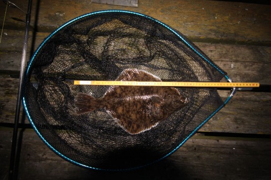 700 grams skrubbe. Foto: Andreas Næristorp