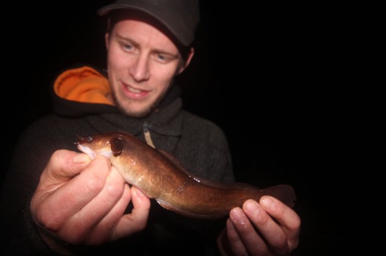 Daniel Andre med femtrådet tangbrosme på 154g. Foto: Andreas Næristorp