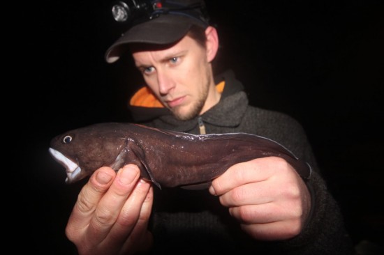 Daniel Andre med ny art, en paddetorsk på 340g. Foto: Andreas Næristorp
