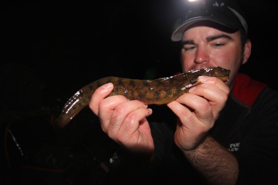 Enda en ny pers på ålekvabbe - 235g. Foto: Espen Abrahamsen