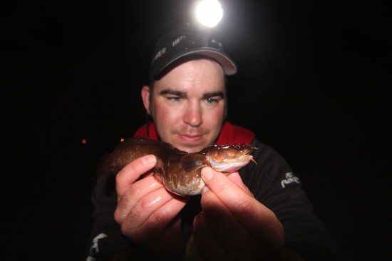 Femtrådet tangbrosme på 150g. Foto: Espen Abrahamsen
