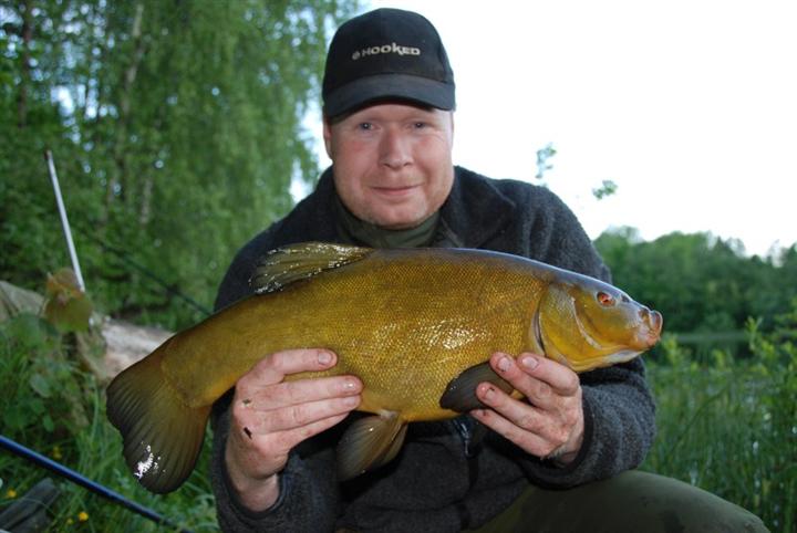 sprute fisk