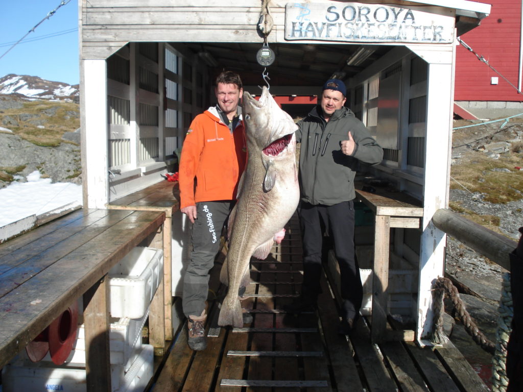 Michael Eisele (Tyskland) med fangsten på 47 kg. En abnorm torsk - Foto Sørøya Havfiskesenter