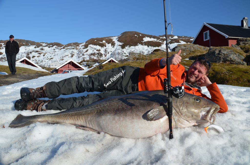 Michael Eisele poserer med verdens største torsk - 47 kg - tatt på stang - Foto - Sørøya Havfiskesenter