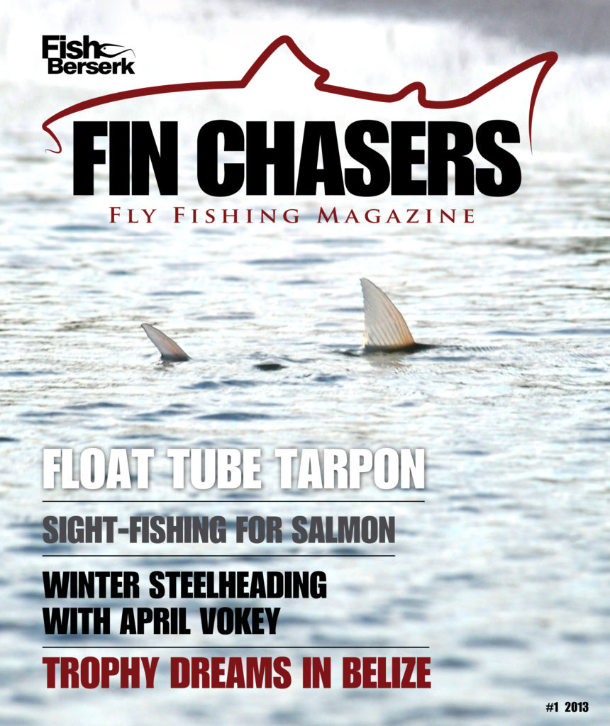 Fin Chasers-Issue1