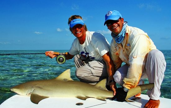 Asgeir lemon shark