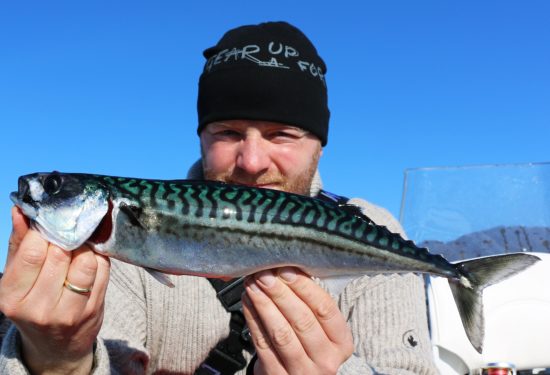 Lange i Osterfjorden 4