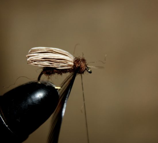 Dubb bindetråden med mer brun dubbing, og form en fin fremkropp ved å surre dubbingtråden foran vingen, mellom vingen og hackelfjæra og mellom hackelfjæra og krokøyet. Spar litt plass til avslutning. Foto: Lasse Bøe