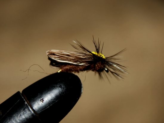 Bøes Caddis - egenutviklet vårflueimitasjon med fallskjermhackle. Foto: Lasse Bøe