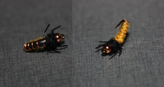 Her er den ferdige Bøe-larva, sett både underfra og overfra. Foto: Lasse Bøe