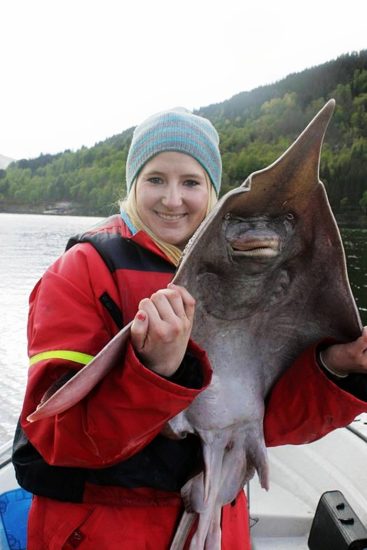 Spisskate Stine Åsebø