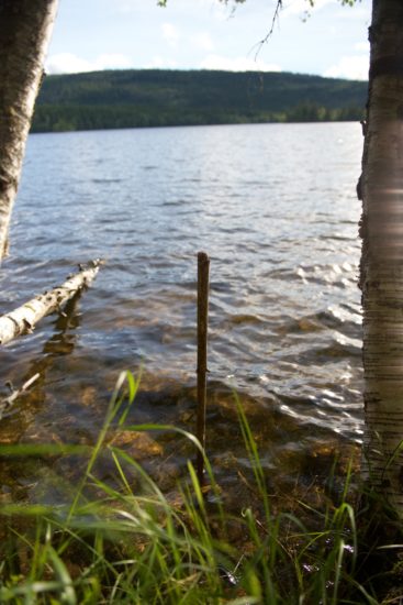 Krepsing - Krepsetur til Gjerdingen 077 - Fiske kreps - krepsing