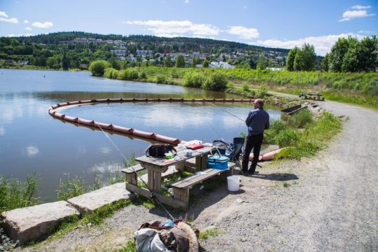 Stemning - Dynovika