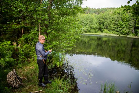 Stemning - Røyken