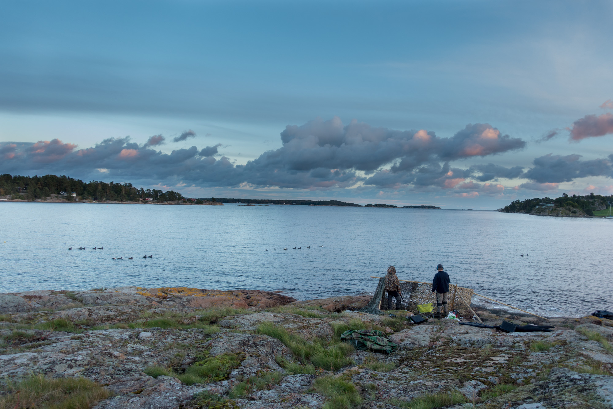 Utsikt mot havgapet - Sjøfugljakt