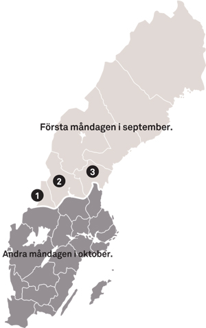 Elgjakt  - Jakttid elg Sverige