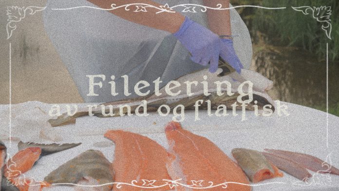 Filetere fisk