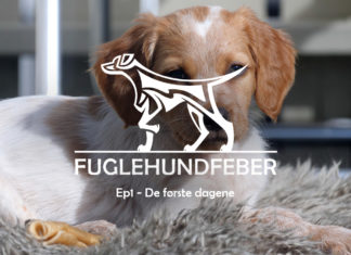 Fuglehundfeber - Ep1 - De første dagene