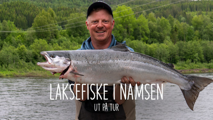 Drømmefisken - Laksefiske i Namsen