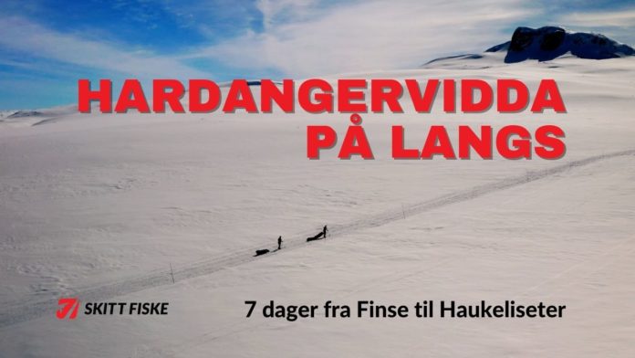 Hardangervidda på langs